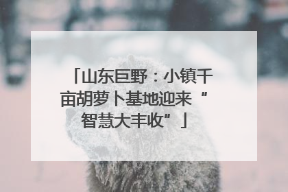 山东巨野：小镇千亩胡萝卜基地迎来“智慧大丰收”