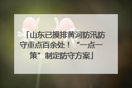 山东已摸排黄河防汛防守重点百余处！“一点一策”制定防守方案