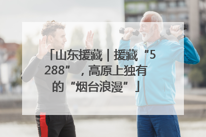 山东援藏｜援藏“5288”，高原上独有的“烟台浪漫”