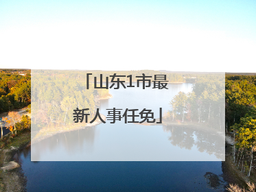 山东1市最新人事任免