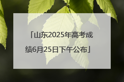 山东2025年高考成绩6月25日下午公布