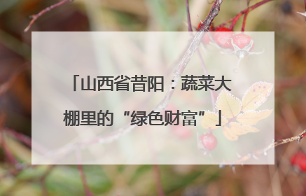 山西省昔阳：蔬菜大棚里的“绿色财富”