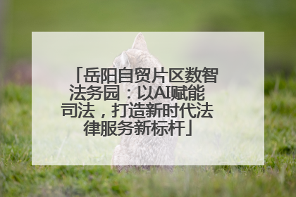 岳阳自贸片区数智法务园：以AI赋能司法，打造新时代法律服务新标杆