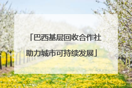 巴西基层回收合作社助力城市可持续发展
