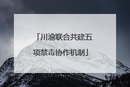 川渝联合共建五项禁毒协作机制