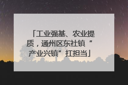 工业强基、农业提质，通州区东社镇“产业兴镇”扛担当