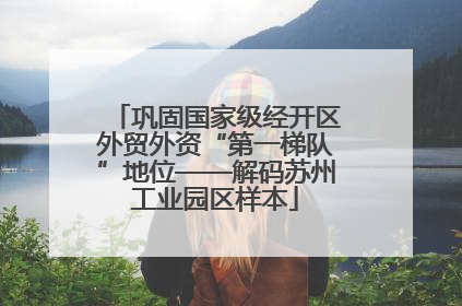 巩固国家级经开区外贸外资“第一梯队”地位——解码苏州工业园区样本