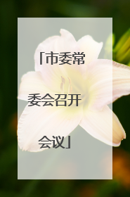 市委常委会召开会议