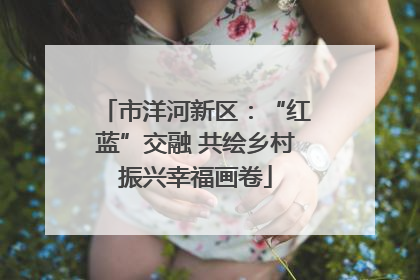 市洋河新区：“红蓝”交融 共绘乡村振兴幸福画卷