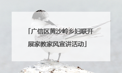 广信区黄沙岭乡妇联开展家教家风宣讲活动