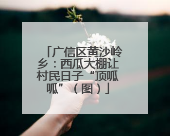 广信区黄沙岭乡：西瓜大棚让村民日子“顶呱呱”（图）