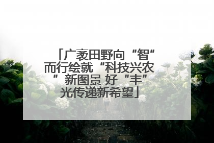 广袤田野向“智”而行绘就“科技兴农”新图景 好“丰”光传递新希望