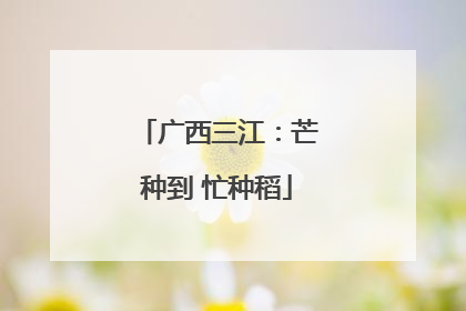 广西三江：芒种到 忙种稻