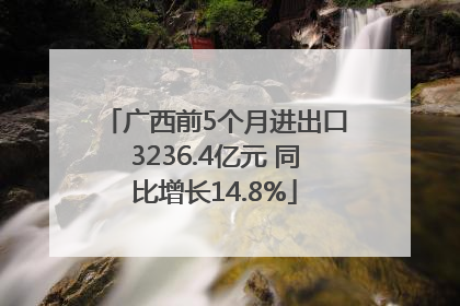 广西前5个月进出口3236.4亿元 同比增长14.8%