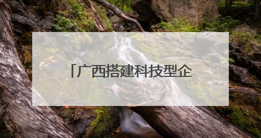广西搭建科技型企业与金融对接平台 共育新质生产力