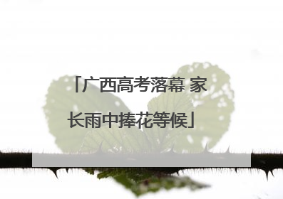 广西高考落幕 家长雨中捧花等候