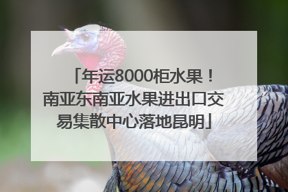 年运8000柜水果！南亚东南亚水果进出口交易集散中心落地昆明