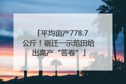 平均亩产778.7公斤！宿迁一示范田给出高产“答卷”