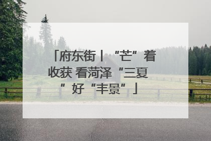 府东街丨“芒”着收获 看菏泽“三夏”好“丰景”