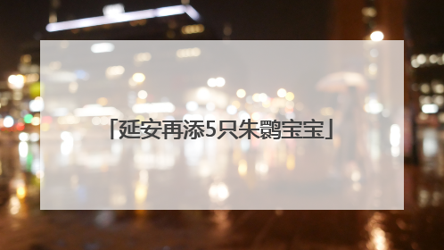 延安再添5只朱鹮宝宝