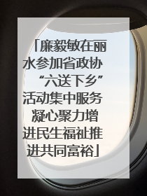 廉毅敏在丽水参加省政协“六送下乡”活动集中服务 凝心聚力增进民生福祉推进共同富裕