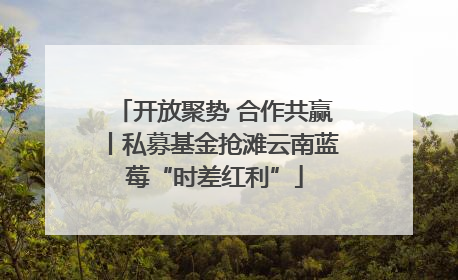 开放聚势 合作共赢丨私募基金抢滩云南蓝莓“时差红利”