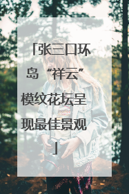 张三口环岛“祥云”模纹花坛呈现最佳景观
