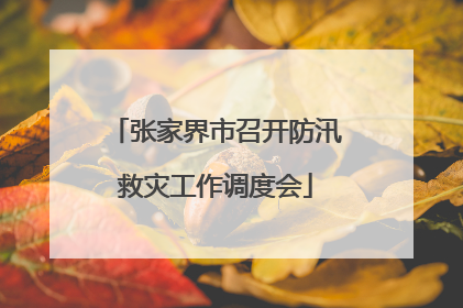 张家界市召开防汛救灾工作调度会