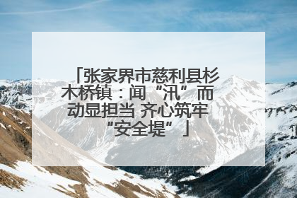 张家界市慈利县杉木桥镇：闻“汛”而动显担当 齐心筑牢“安全堤”