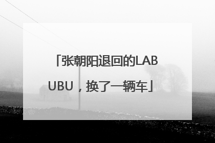 张朝阳退回的LABUBU，换了一辆车