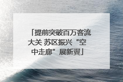提前突破百万客流大关 苏区振兴“空中走廊”展新翼