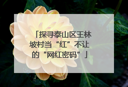 探寻泰山区王林坡村当“红”不让的“网红密码”