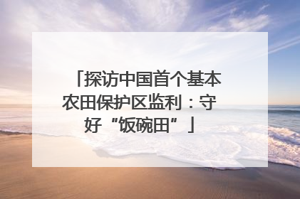 探访中国首个基本农田保护区监利：守好“饭碗田”