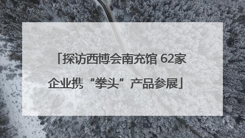 探访西博会南充馆 62家企业携“拳头”产品参展