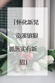 怀化新晃：贡溪镇狠抓落实有新招