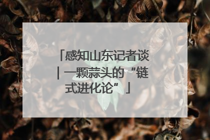 感知山东记者谈｜一颗蒜头的“链式进化论”