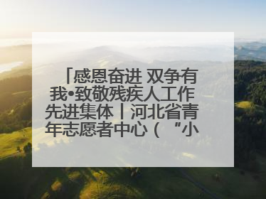 感恩奋进 双争有我•致敬残疾人工作先进集体丨河北省青年志愿者中心（“小橘灯”助残接力计划实施团队）：用温暖陪伴，守护特殊孩子成长