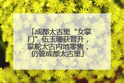 成都太古里“女掌门”伍玉珊获晋升，掌舵太古内地零售，仍管成都太古里