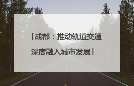 成都：推动轨道交通深度融入城市发展