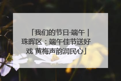 我们的节日·端午｜珠晖区：端午佳节送好戏 黄梅声韵润民心