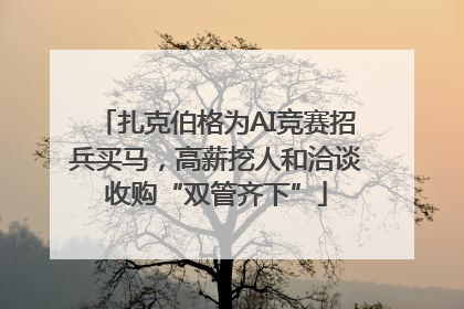 扎克伯格为AI竞赛招兵买马，高薪挖人和洽谈收购“双管齐下”