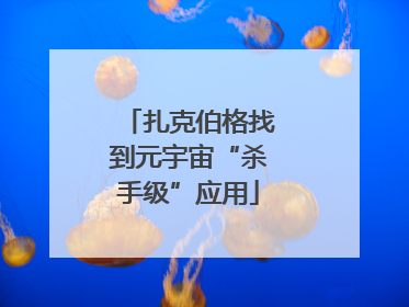 扎克伯格找到元宇宙“杀手级”应用