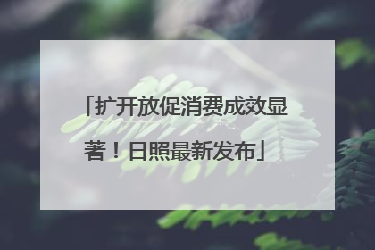 扩开放促消费成效显著！日照最新发布