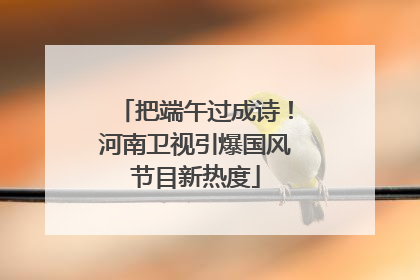 把端午过成诗！河南卫视引爆国风节目新热度