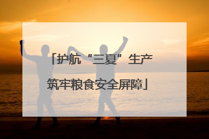 护航“三夏”生产 筑牢粮食安全屏障