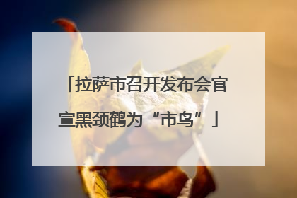拉萨市召开发布会官宣黑颈鹤为“市鸟”