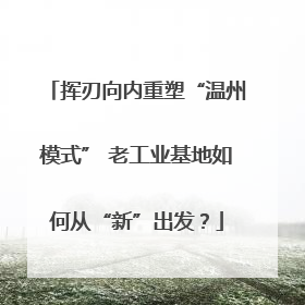 挥刃向内重塑“温州模式” 老工业基地如何从“新”出发？