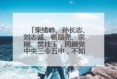 柴绪峰、孙长志、刘志诚、杨昆尧、宗刚、樊桂玉，罔顾党中央三令五申，不知敬畏、我行我素、肆意妄为！