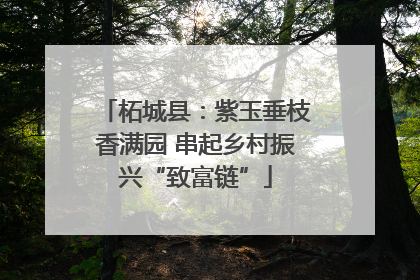 柘城县：紫玉垂枝香满园 串起乡村振兴“致富链”
