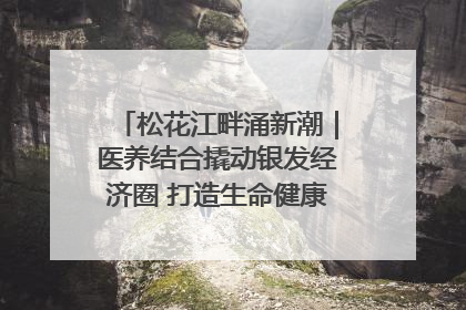 松花江畔涌新潮｜医养结合撬动银发经济圈 打造生命健康产业新样本